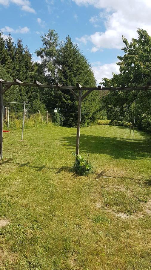Janos-Ferienwohnung Friedrichsbrunn Eksteriør bilde